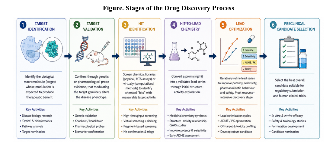 Stages of the Drug Discovery Process: Target Identification, Target Validation, Hit Identification, Hit-to-Lead Chemistry, Lead Optimization, and Preclinical Candidate Selection, each with its key activities